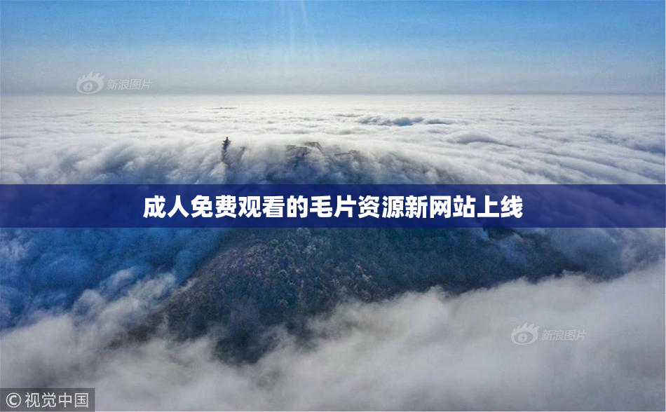 成人免费观看的毛片资源新网站上线