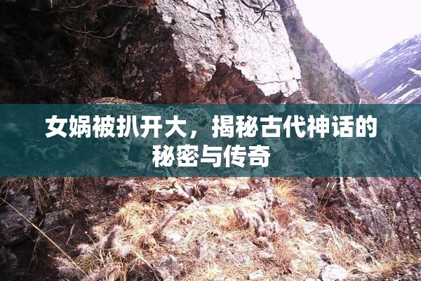 女娲被扒开大，揭秘古代神话的秘密与传奇