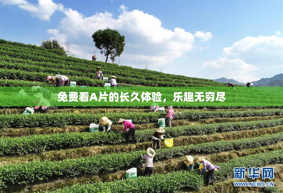 免费看A片的长久体验，乐趣无穷尽