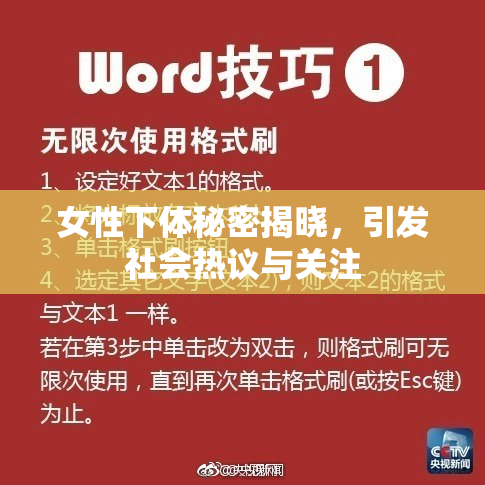女性下体秘密揭晓，引发社会热议与关注