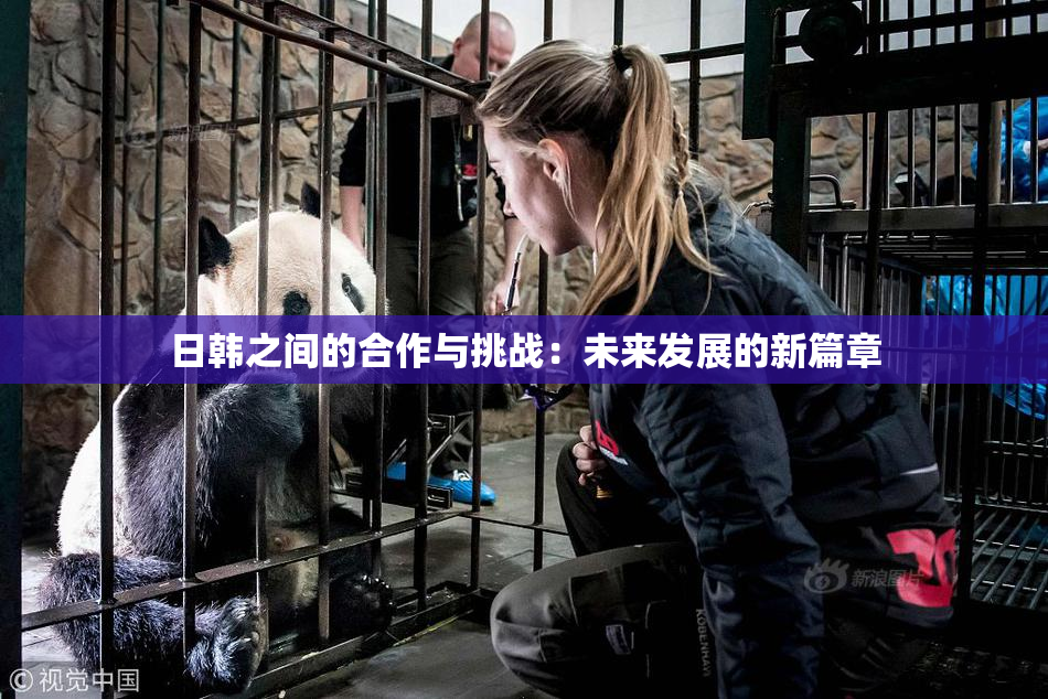 日韩之间的合作与挑战：未来发展的新篇章