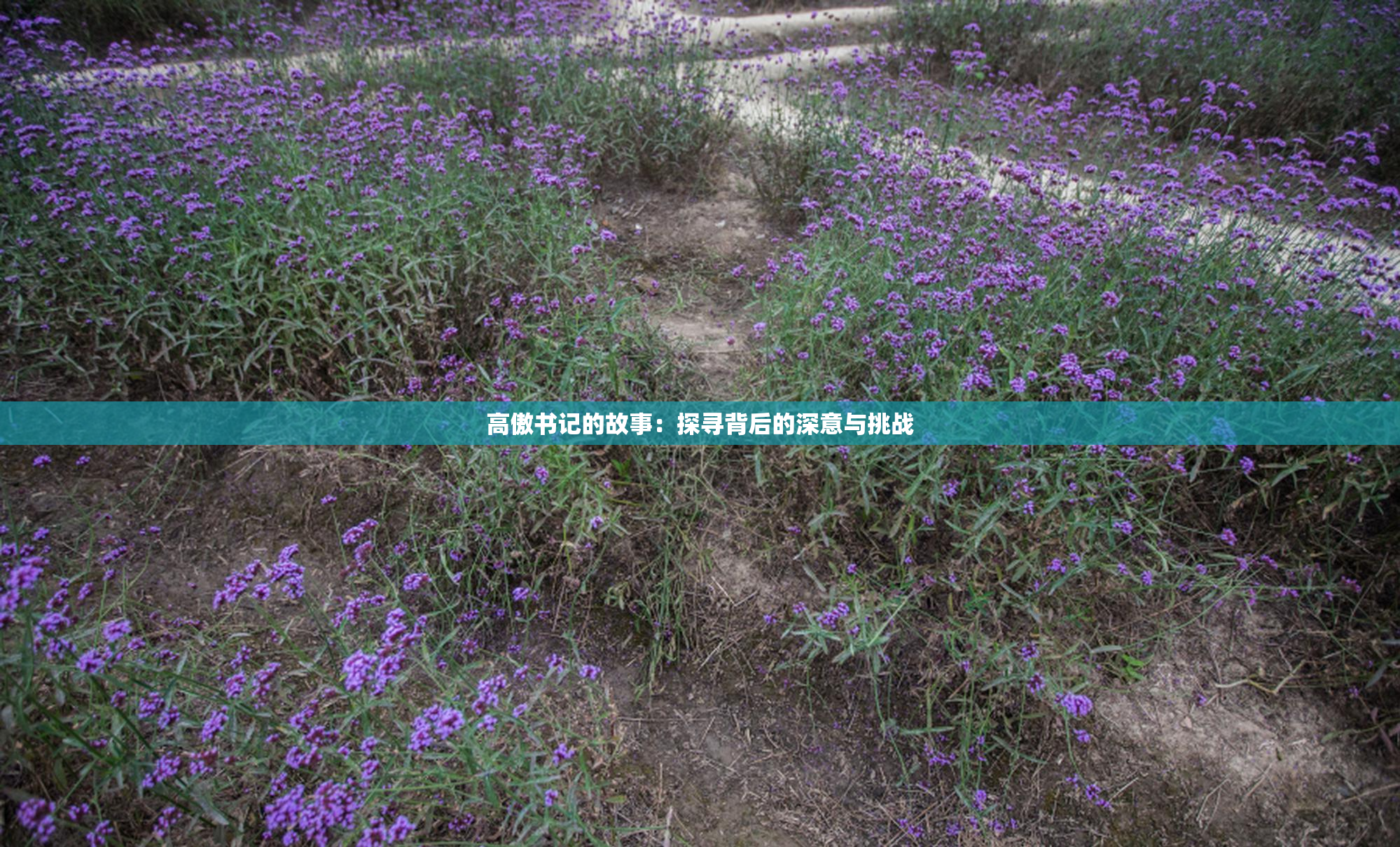 高傲书记的故事：探寻背后的深意与挑战