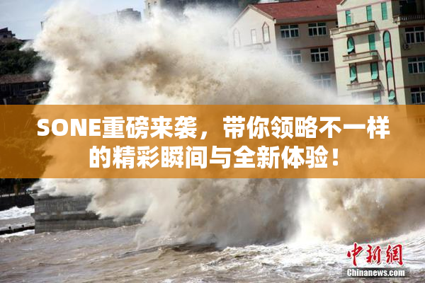 SONE重磅来袭，带你领略不一样的精彩瞬间与全新体验！