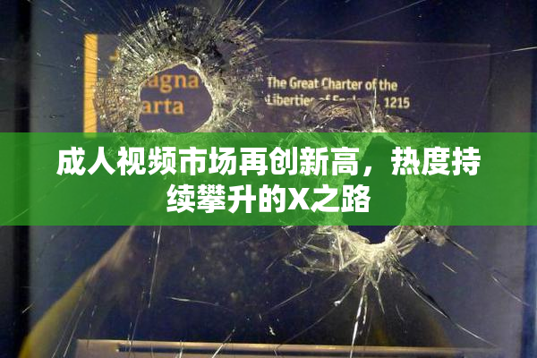 成人视频市场再创新高，热度持续攀升的X之路