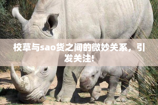 校草与sao货之间的微妙关系，引发关注!