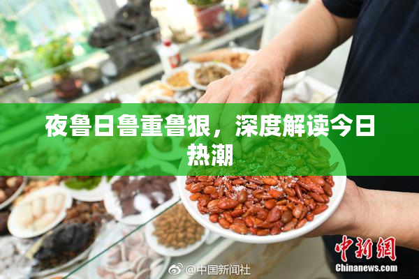 夜鲁日鲁重鲁狠，深度解读今日热潮