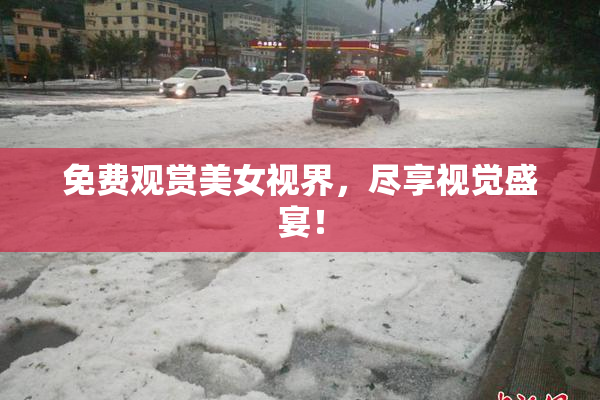 免费观赏美女视界，尽享视觉盛宴！