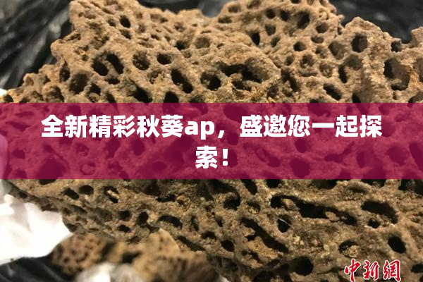 全新精彩秋葵ap，盛邀您一起探索！