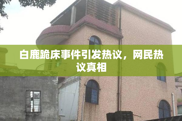 白鹿跪床事件引发热议，网民热议真相
