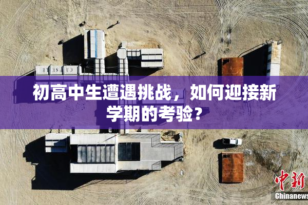初高中生遭遇挑战，如何迎接新学期的考验？