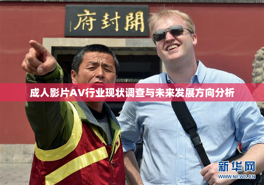 成人影片AV行业现状调查与未来发展方向分析