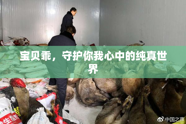 宝贝乖，守护你我心中的纯真世界