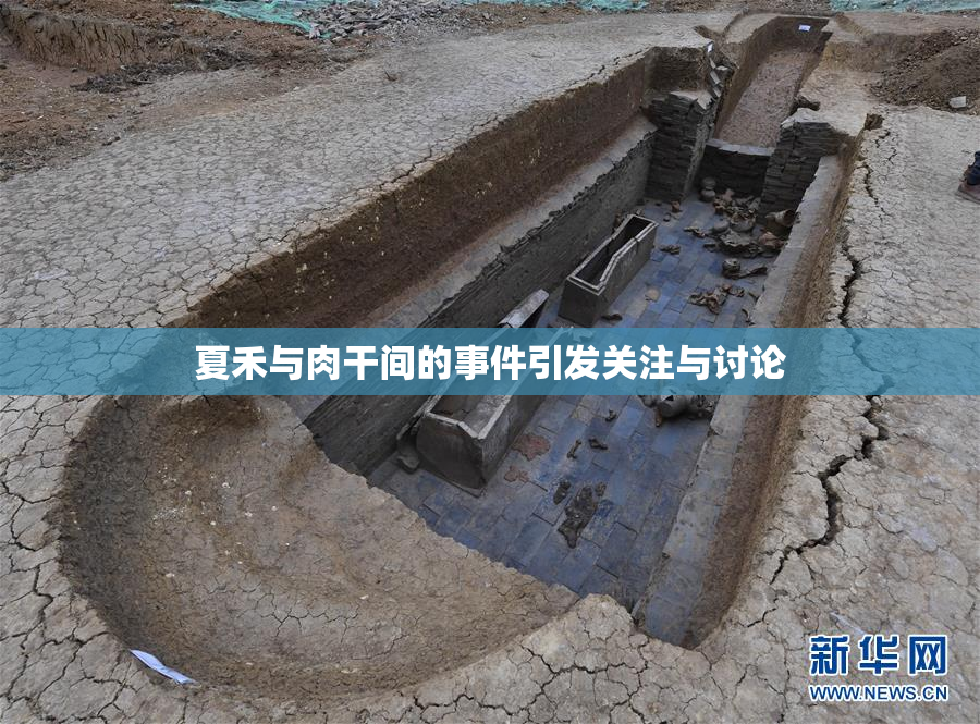 夏禾与肉干间的事件引发关注与讨论