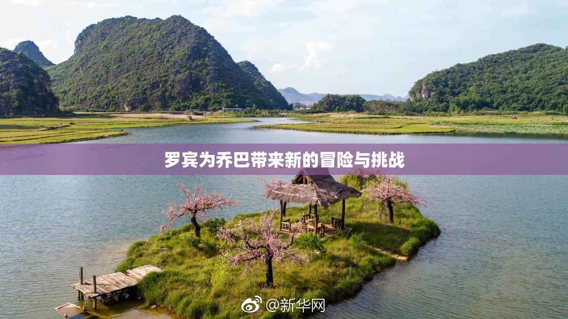 罗宾为乔巴带来新的冒险与挑战