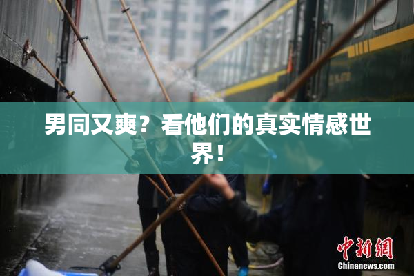 男同又爽？看他们的真实情感世界！