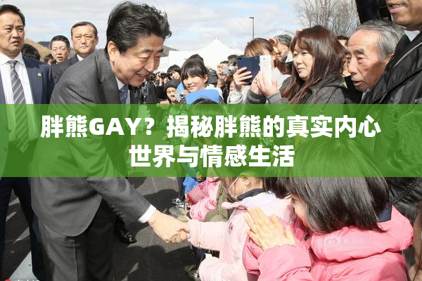 胖熊GAY？揭秘胖熊的真实内心世界与情感生活