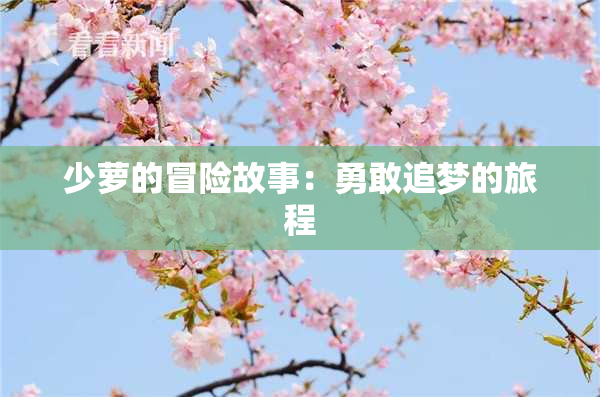 少萝的冒险故事：勇敢追梦的旅程