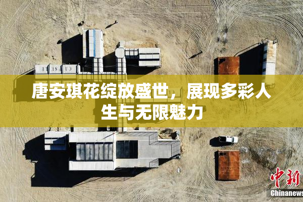 唐安琪花绽放盛世，展现多彩人生与无限魅力