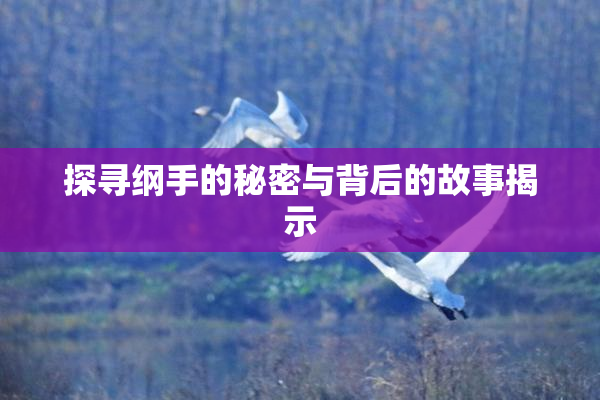 探寻纲手的秘密与背后的故事揭示