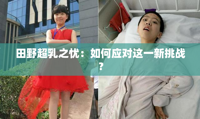 田野超乳之忧：如何应对这一新挑战？