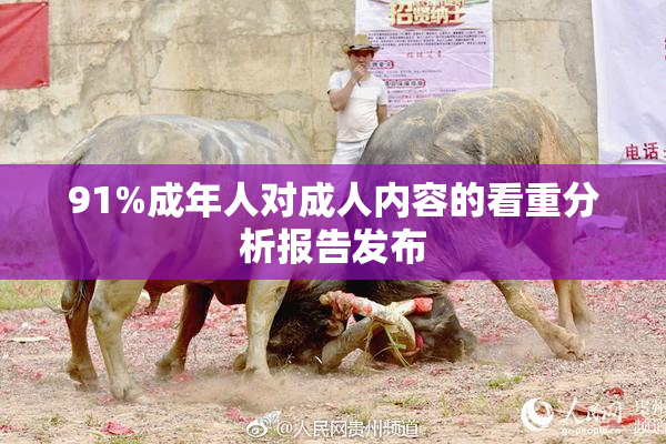 91%成年人对成人内容的看重分析报告发布