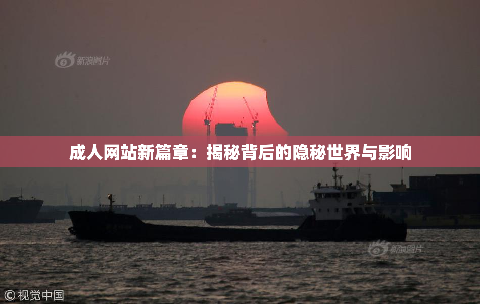成人网站新篇章：揭秘背后的隐秘世界与影响