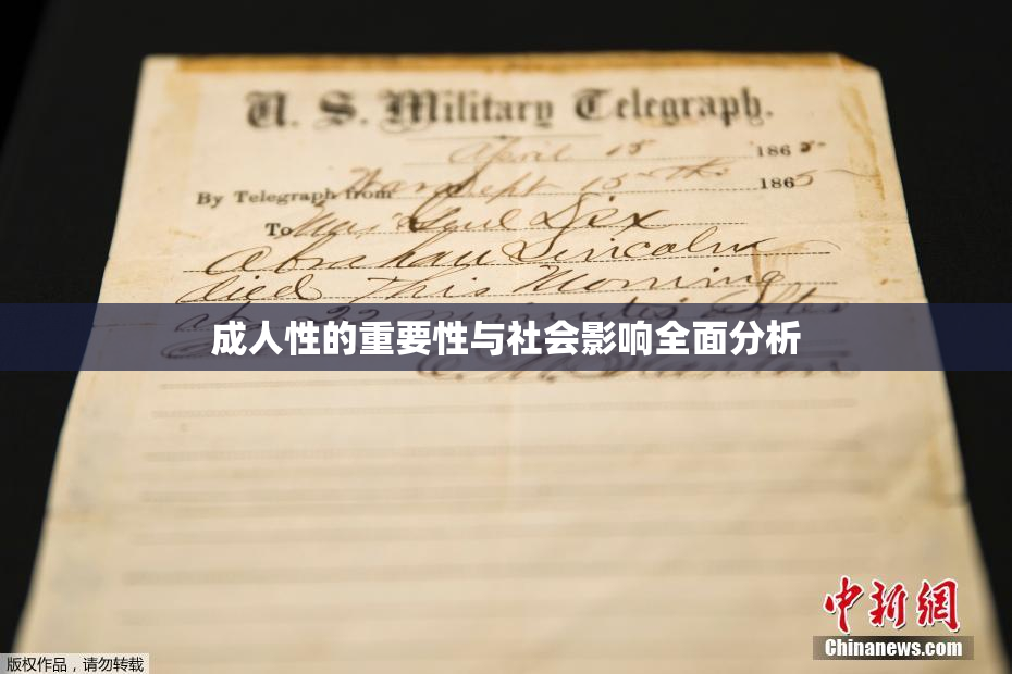 成人性的重要性与社会影响全面分析