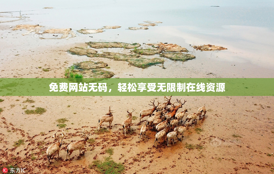 免费网站无码，轻松享受无限制在线资源