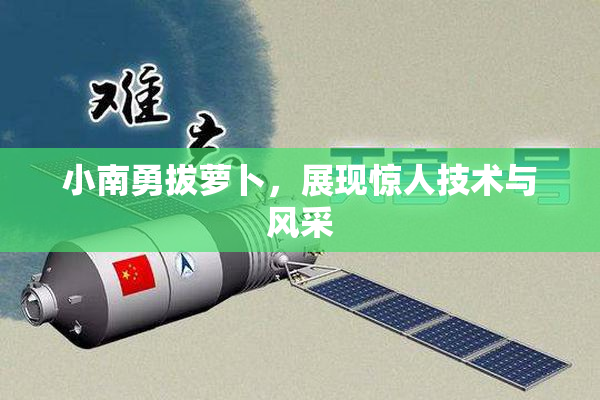 小南勇拔萝卜，展现惊人技术与风采