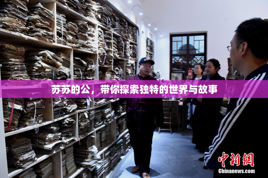 苏苏的公，带你探索独特的世界与故事
