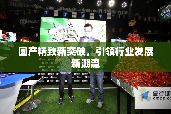 国产精致新突破，引领行业发展新潮流