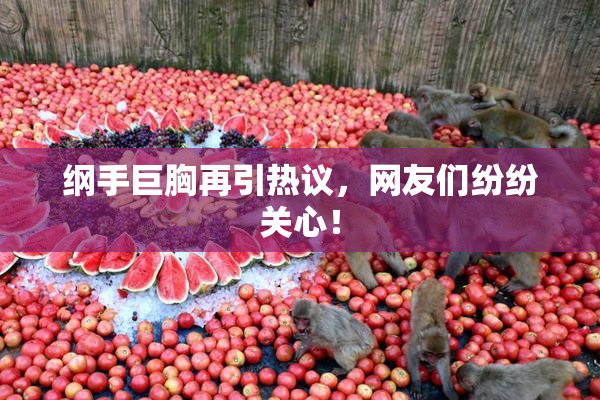 纲手巨胸再引热议，网友们纷纷关心！