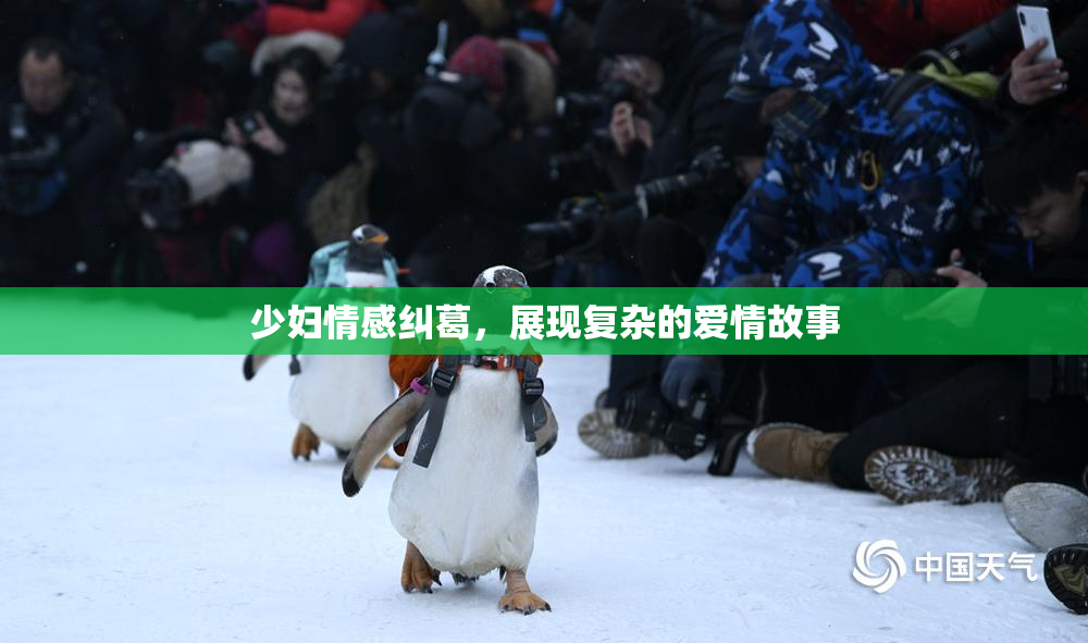 少妇情感纠葛，展现复杂的爱情故事