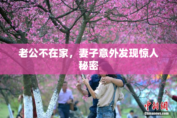 老公不在家，妻子意外发现惊人秘密
