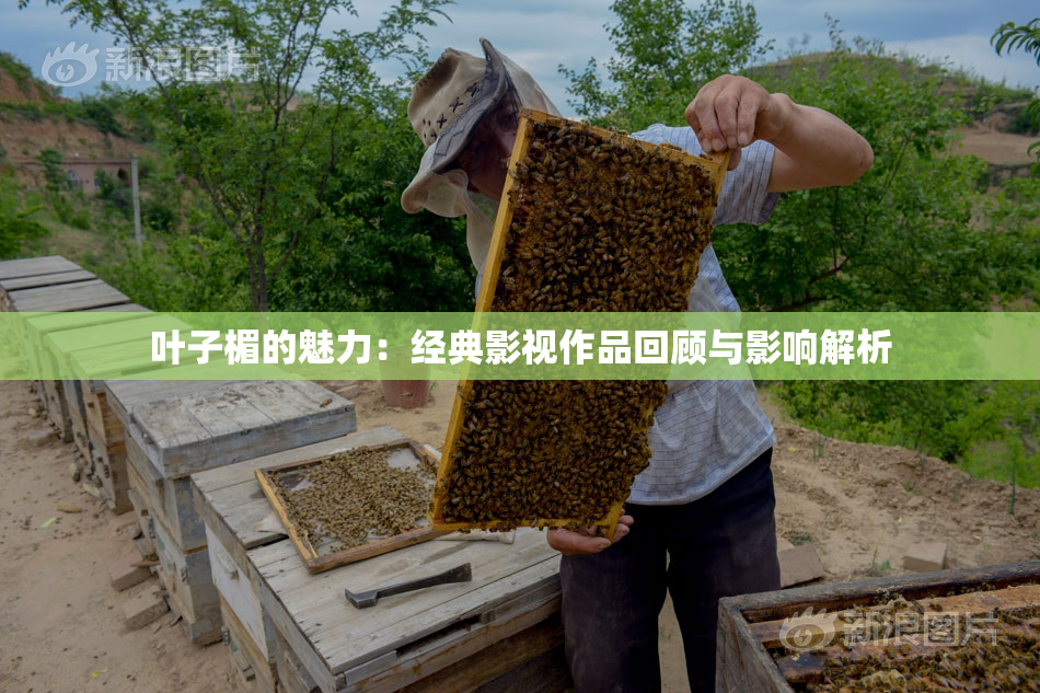 叶子楣的魅力：经典影视作品回顾与影响解析