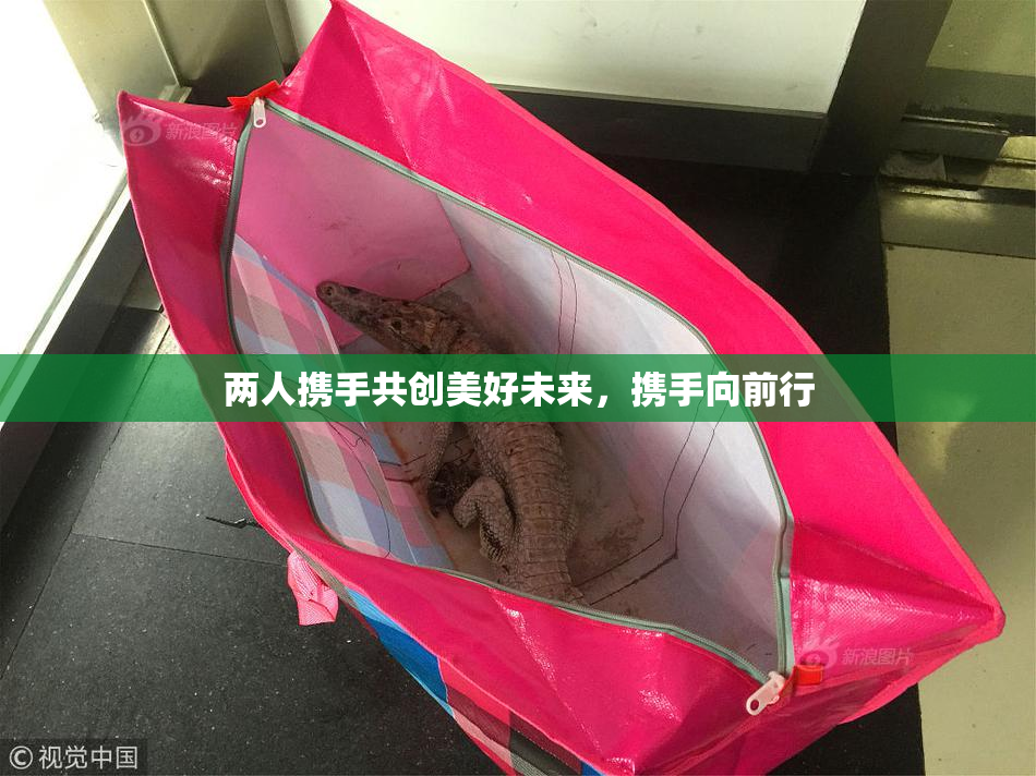 两人携手共创美好未来，携手向前行