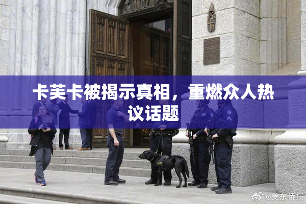 卡芙卡被揭示真相，重燃众人热议话题