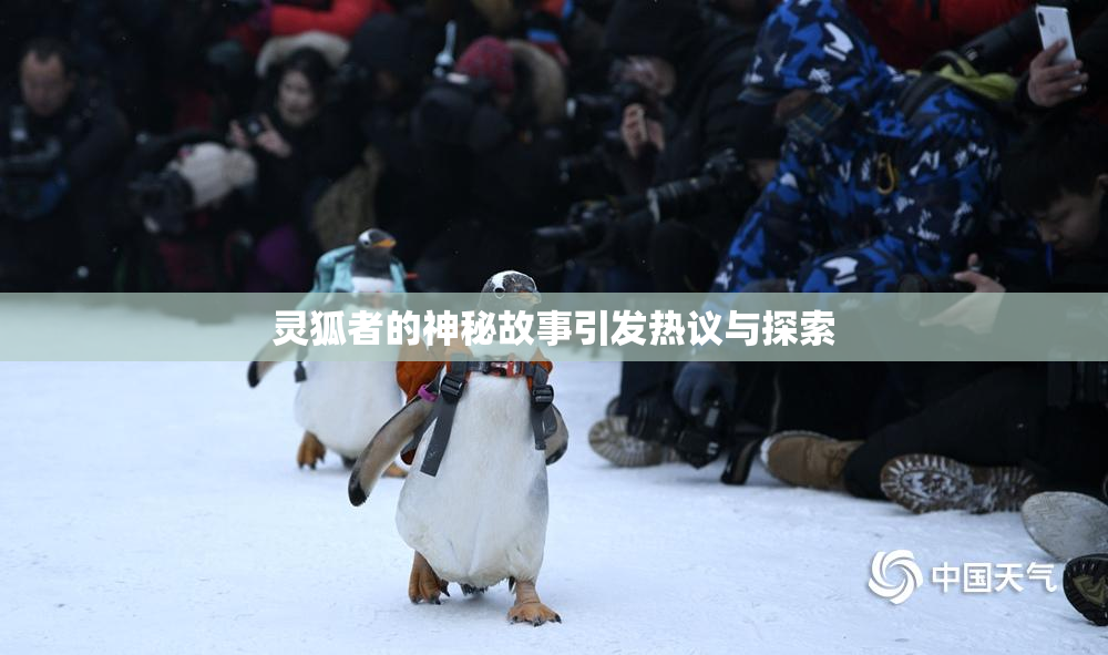 灵狐者的神秘故事引发热议与探索