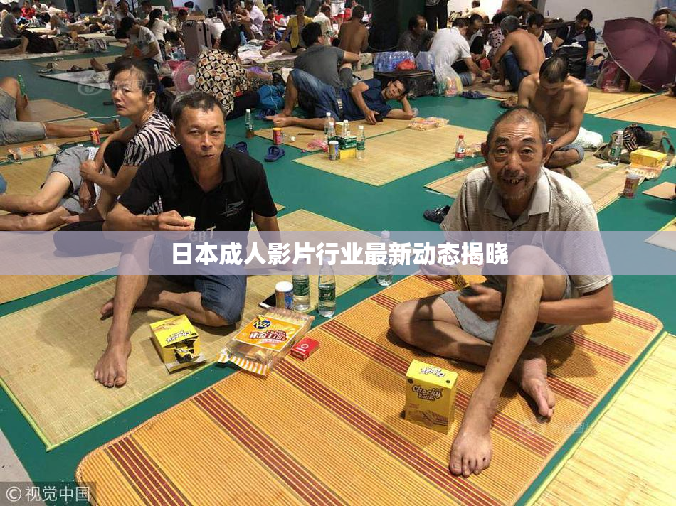 日本成人影片行业最新动态揭晓