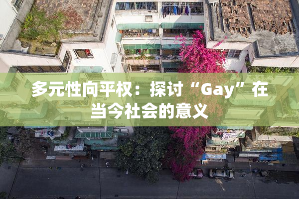 多元性向平权：探讨“Gay”在当今社会的意义