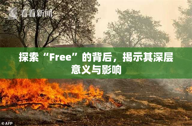 探索“Free”的背后，揭示其深层意义与影响