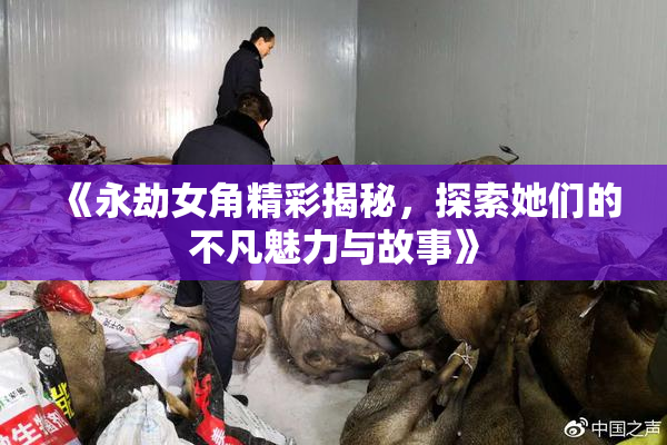《永劫女角精彩揭秘，探索她们的不凡魅力与故事》