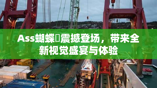 Ass蝴蝶泬震撼登场，带来全新视觉盛宴与体验