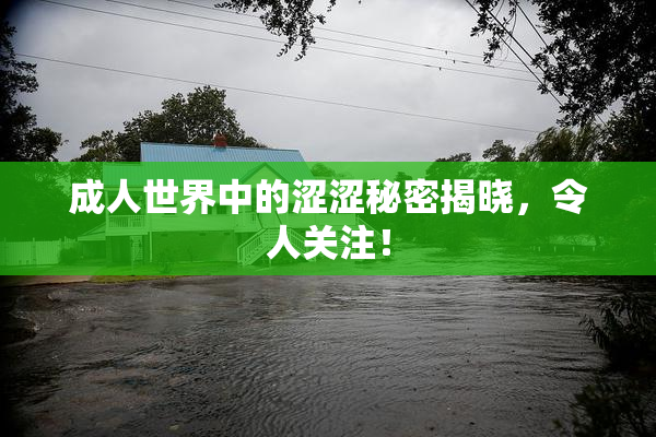 成人世界中的涩涩秘密揭晓，令人关注！
