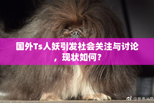 国外Ts人妖引发社会关注与讨论，现状如何？