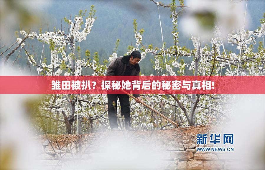 雏田被扒？探秘她背后的秘密与真相!