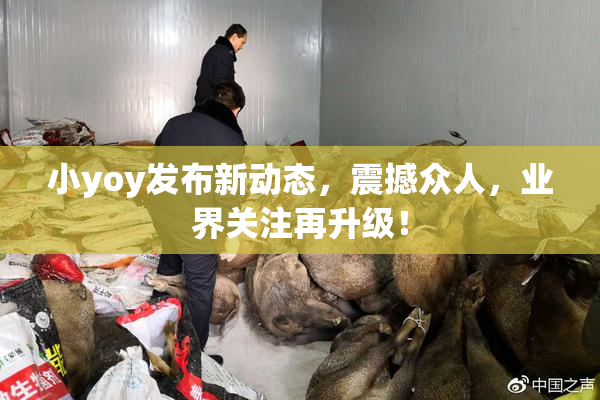 小yoy发布新动态，震撼众人，业界关注再升级！