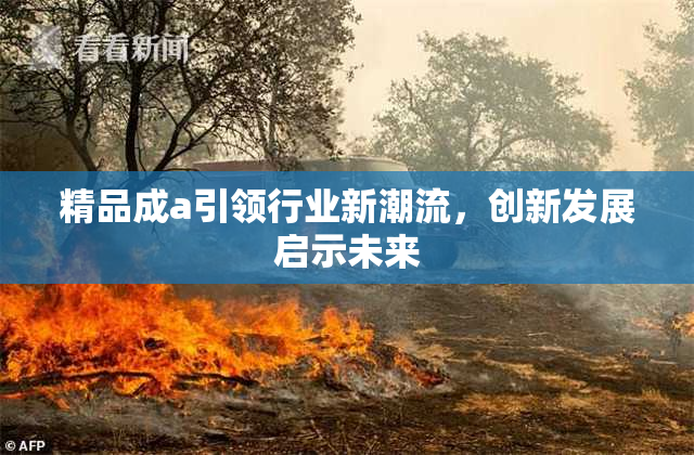 精品成a引领行业新潮流，创新发展启示未来