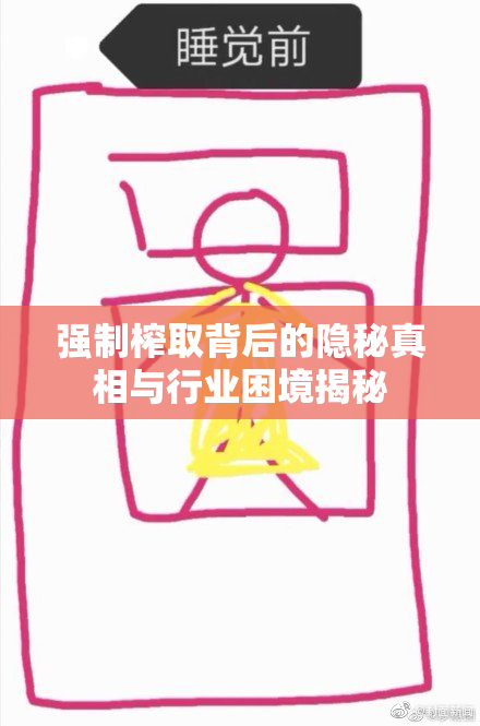 强制榨取背后的隐秘真相与行业困境揭秘