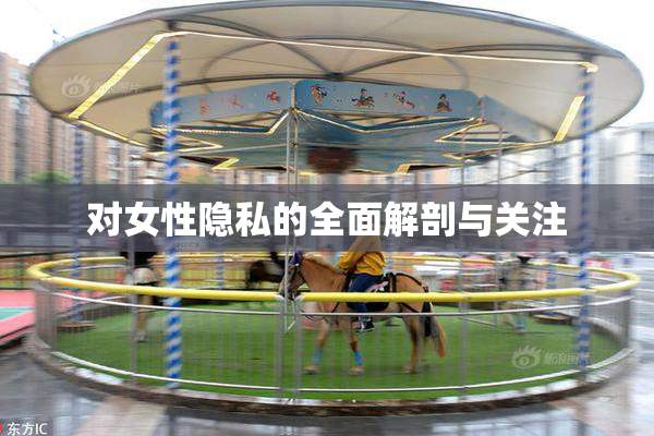 对女性隐私的全面解剖与关注